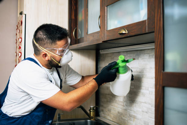 Best Insect Control  in Weldon, NC