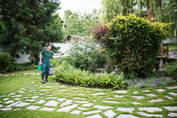 Professional Pest Control in Weldon, NC