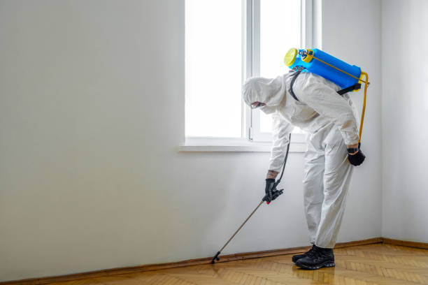 Wasp Removal Services in Weldon, NC