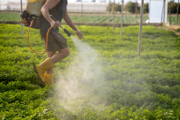 Best Pest Inspection Near Me  in Weldon, NC