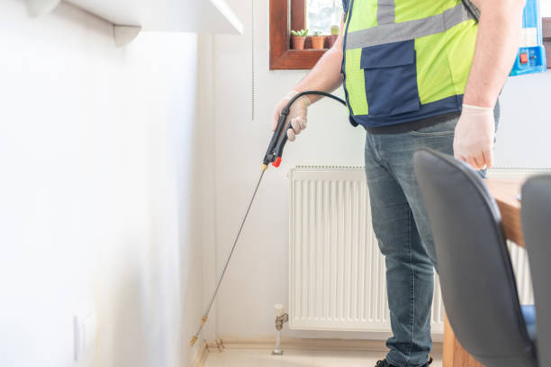 Best Termite Control Services  in Weldon, NC