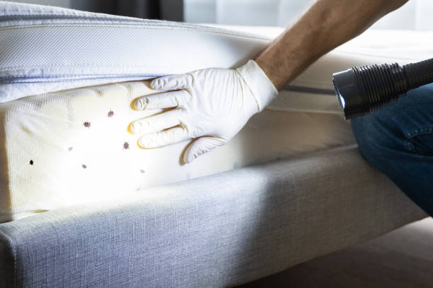 Best Best Pest Control Companies  in Weldon, NC