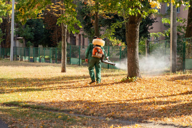 Best Pest Prevention Services  in Weldon, NC