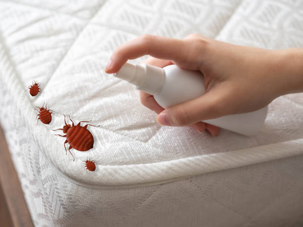 Best Mosquito Control Services  in Weldon, NC