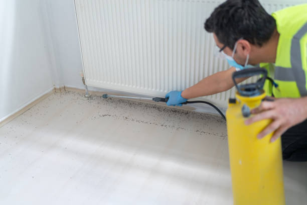 Best Termite Control Services  in Weldon, NC