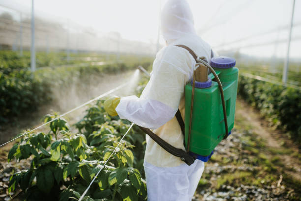 Best Flea Control Services  in Weldon, NC